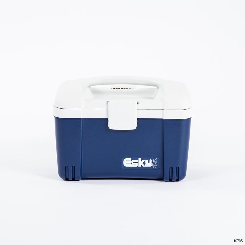 Esky cool sale box